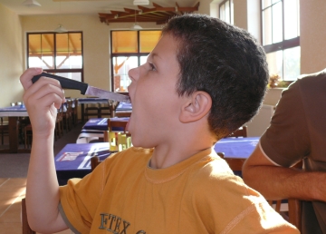 DOMINIK BA�T� P��BORY