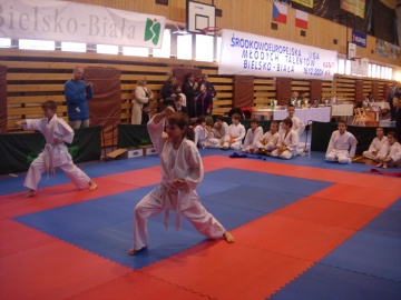 Hankeov� Nikol-Bielsko Biala-Polsko