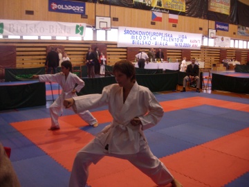 �pringer Adam-Bielsko Biala-Polsko