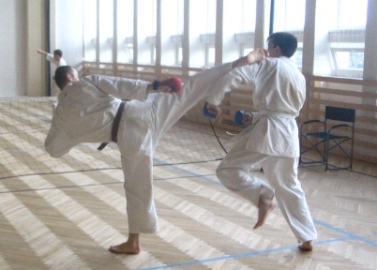 pringer Pavel-1 Kyu